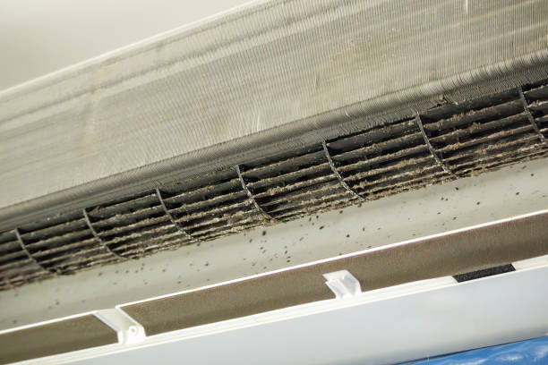 Best Local Air Duct Cleaning Services  in Laurel, VA